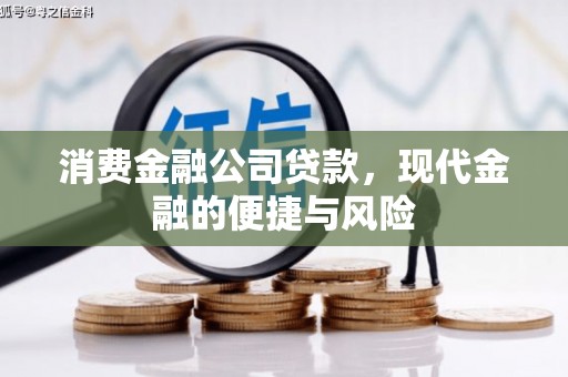 员林消费金融公司贷款，现代金融的便捷与风险
