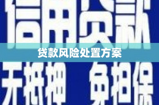 员林贷款风险处置方案