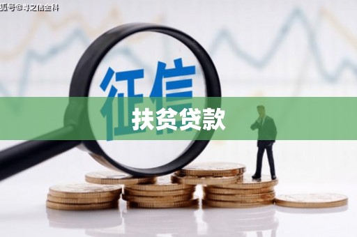 员林扶贫贷款