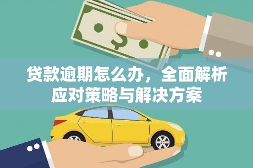 员林贷款逾期怎么办，全面解析应对策略与解决方案