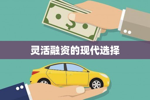 员林灵活融资的现代选择