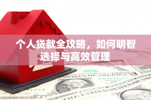 员林个人贷款全攻略，如何明智选择与高效管理
