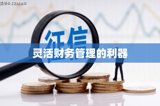 员林灵活财务管理的利器