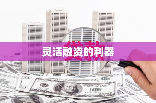 员林灵活融资的利器