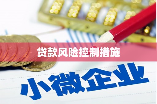 员林贷款风险控制措施