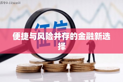 员林便捷与风险并存的金融新选择