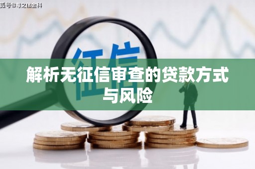 员林解析无征信审查的贷款方式与风险