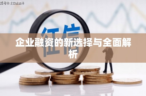 员林企业融资的新选择与全面解析