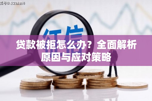 员林贷款被拒怎么办？全面解析原因与应对策略