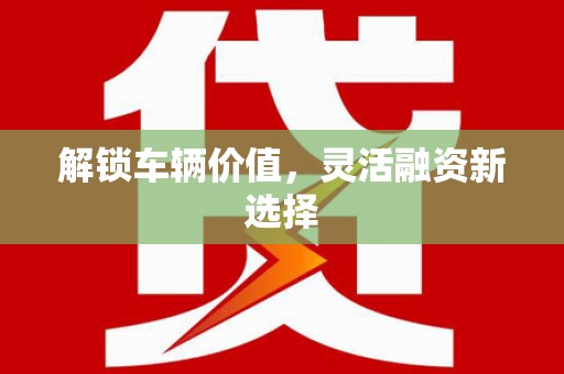 员林解锁车辆价值，灵活融资新选择