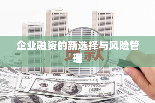 员林企业融资的新选择与风险管理