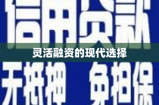 员林灵活融资的现代选择