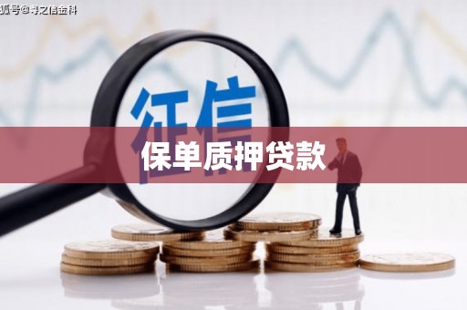员林保单质押贷款