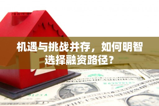 员林机遇与挑战并存，如何明智选择融资路径？