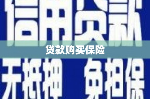 员林贷款购买保险