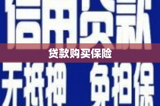 员林贷款购买保险