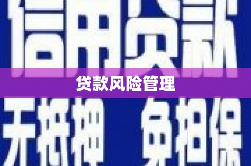 员林贷款风险管理