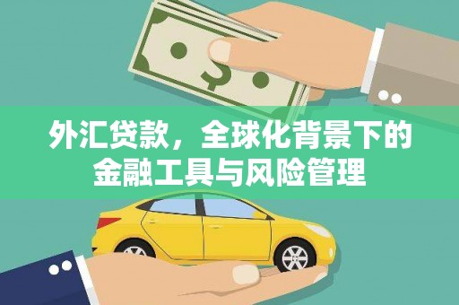 员林外汇贷款，全球化背景下的金融工具与风险管理