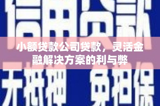 员林小额贷款公司贷款，灵活金融解决方案的利与弊