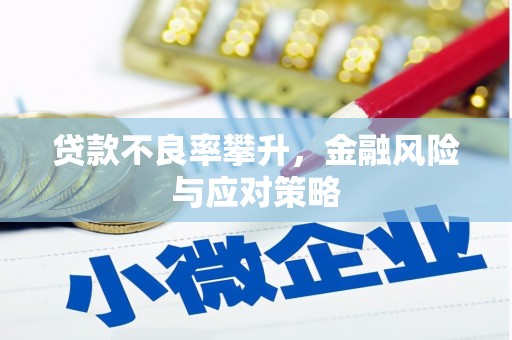 员林贷款不良率攀升，金融风险与应对策略