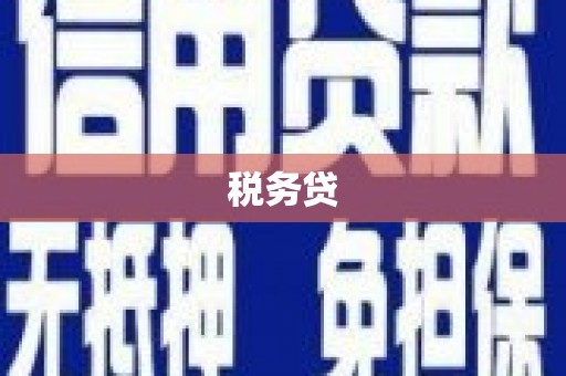 员林税务贷